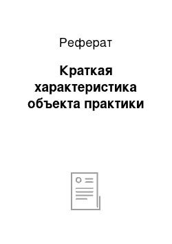 Реферат: Краткая характеристика объекта практики