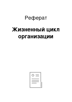 Реферат: Жизненный цикл организации