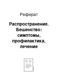 Реферат: Распространение. Бешенство: симптомы, профилактика, лечение