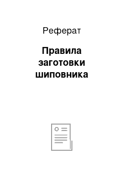 Реферат: Правила заготовки шиповника