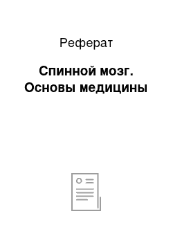 Реферат: Спинной мозг. Основы медицины