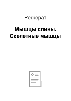 Реферат: Мышцы спины. Скелетные мышцы