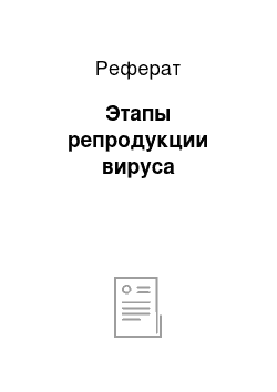 Реферат: Этапы репродукции вируса