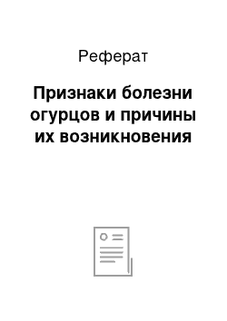 Реферат: Признаки болезни огурцов и причины их возникновения