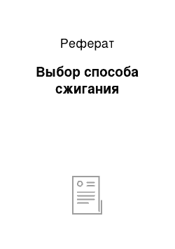 Реферат: Выбор способа сжигания