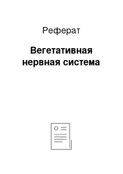 Реферат: Вегетативная нервная система