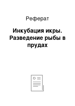 Реферат: Инкубация икры. Разведение рыбы в прудах