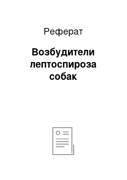 Реферат: Возбудители лептоспироза собак