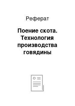 Реферат: Поение скота. Технология производства говядины