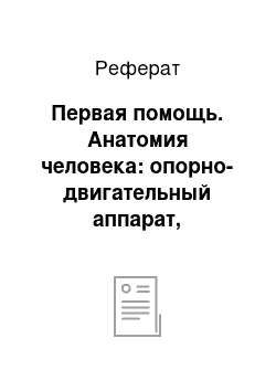 Реферат: Первая помощь. Анатомия человека: опорно-двигательный аппарат, сердечная система