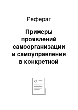 Реферат: Примеры проявлений самоорганизации и самоуправления в конкретной организации