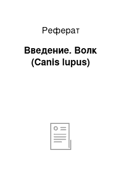 Реферат: Введение. Волк (Canis lupus)