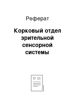 Реферат: Корковый отдел зрительной сенсорной системы