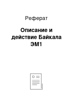 Реферат: Описание и действие Байкала ЭМ1