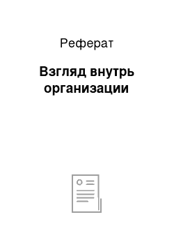 Реферат: Взгляд внутрь организации