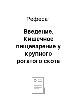 Реферат: Введение. Кишечное пищеварение у крупного рогатого скота