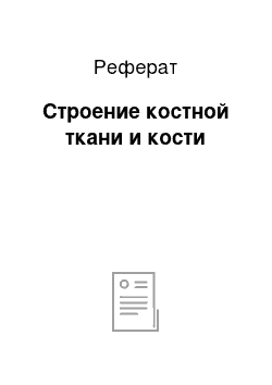 Реферат: Строение костной ткани и кости