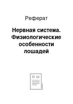 Реферат: Нервная система. Физиологические особенности лошадей