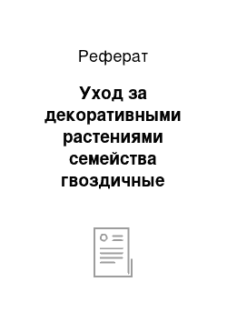 Реферат: Уход за декоративными растениями семейства гвоздичные