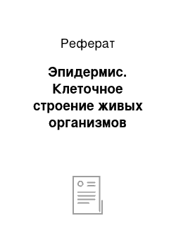 Реферат: Эпидермис. Клеточное строение живых организмов