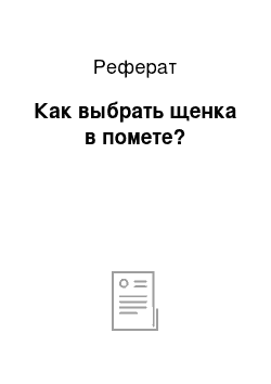 Реферат: Как выбрать щенка в помете?