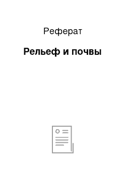 Реферат: Рельеф и почвы