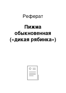 Реферат: Пижма обыкновенная («дикая рябинка»)