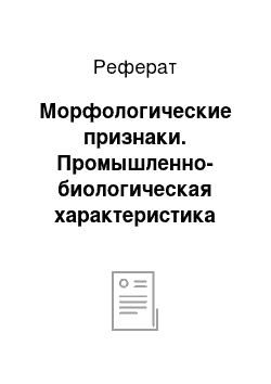 Реферат: Морфологические признаки. Промышленно-биологическая характеристика черноморско-азовской шемаи из восточной части Таганрогского залива