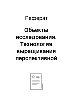 Реферат: Обьекты исследования. Технология выращивания перспективной лекарственной культуры эхинацеи пурпурной на юге Казахстана