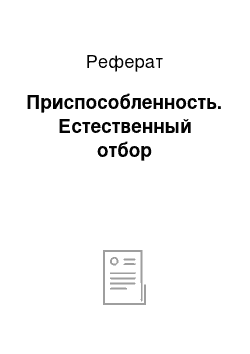 Реферат: Приспособленность. Естественный отбор