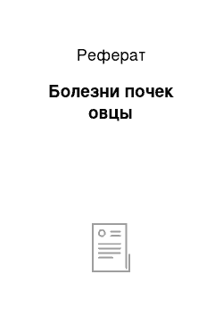 Реферат: Болезни почек овцы