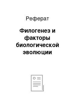 Реферат: Филогенез и факторы биологической эволюции