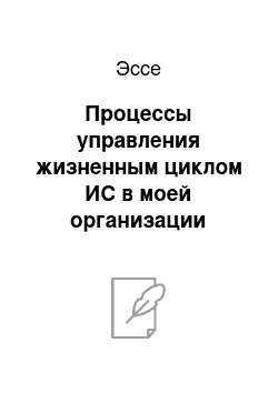 Эссе: Процессы управления жизненным циклом ИС в моей организации