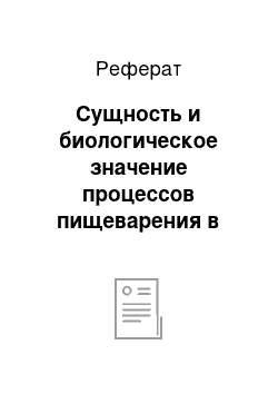 Реферат: Сущность и биологическое значение процессов пищеварения в кишечнике