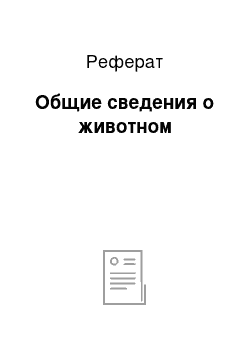 Реферат: Общие сведения о животном