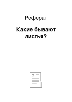 Реферат: Какие бывают листья?