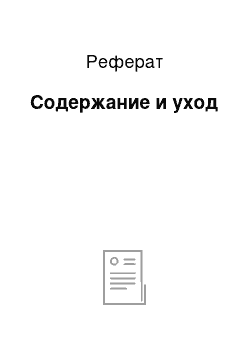 Реферат: Содержание и уход