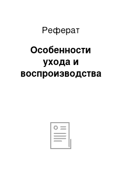 Реферат: Особенности ухода и воспроизводства