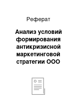 Реферат: Анализ условий формирования антикризисной маркетинговой стратегии ООО «Меха»