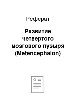 Реферат: Развитие четвертого мозгового пузыря (Metencephalon)