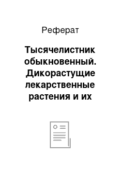 Реферат: Тысячелистник обыкновенный. Дикорастущие лекарственные растения и их применение в медицине