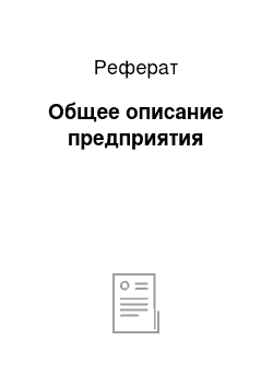 Реферат: Общее описание предприятия