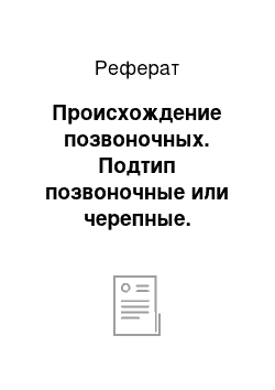 Реферат: Происхождение позвоночных. Подтип позвоночные или черепные. Характеристика подтипа