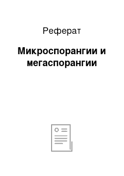 Реферат: Микроспорангии и мегаспорангии