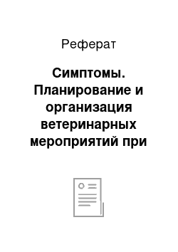 Реферат: Симптомы. Планирование и организация ветеринарных мероприятий при бронхопневмонии телят