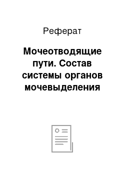 Реферат: Мочеотводящие пути. Состав системы органов мочевыделения